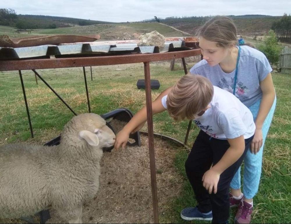 Rocks & Roses Farm Stay Lochiel Εξωτερικό φωτογραφία