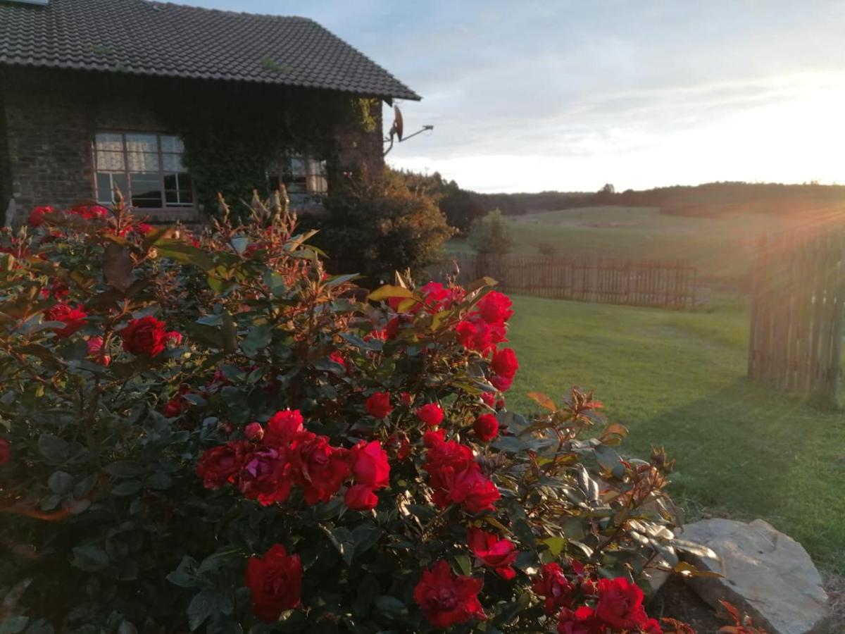 Rocks & Roses Farm Stay Lochiel Εξωτερικό φωτογραφία