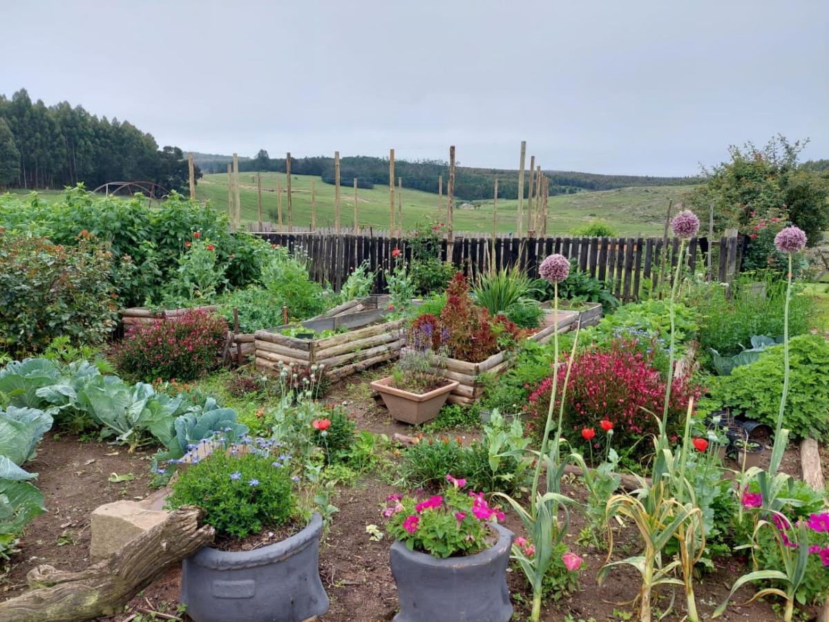 Rocks & Roses Farm Stay Lochiel Εξωτερικό φωτογραφία