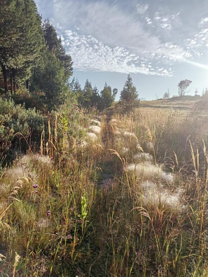 Rocks & Roses Farm Stay Lochiel Εξωτερικό φωτογραφία