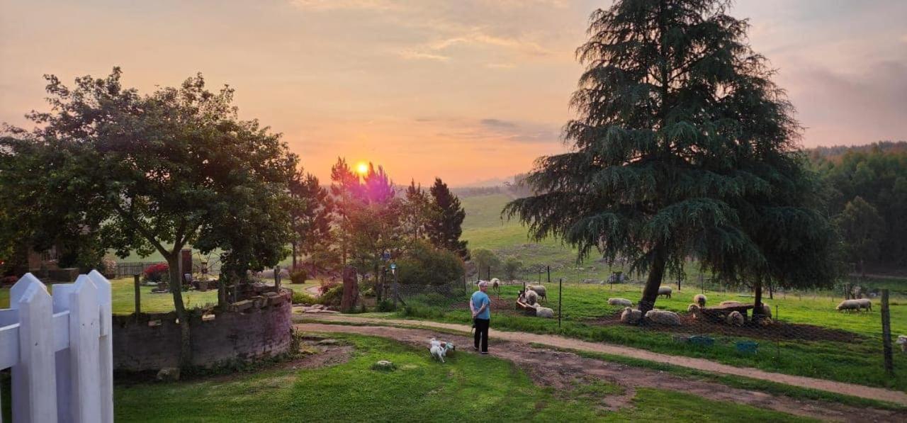 Rocks & Roses Farm Stay Lochiel Εξωτερικό φωτογραφία