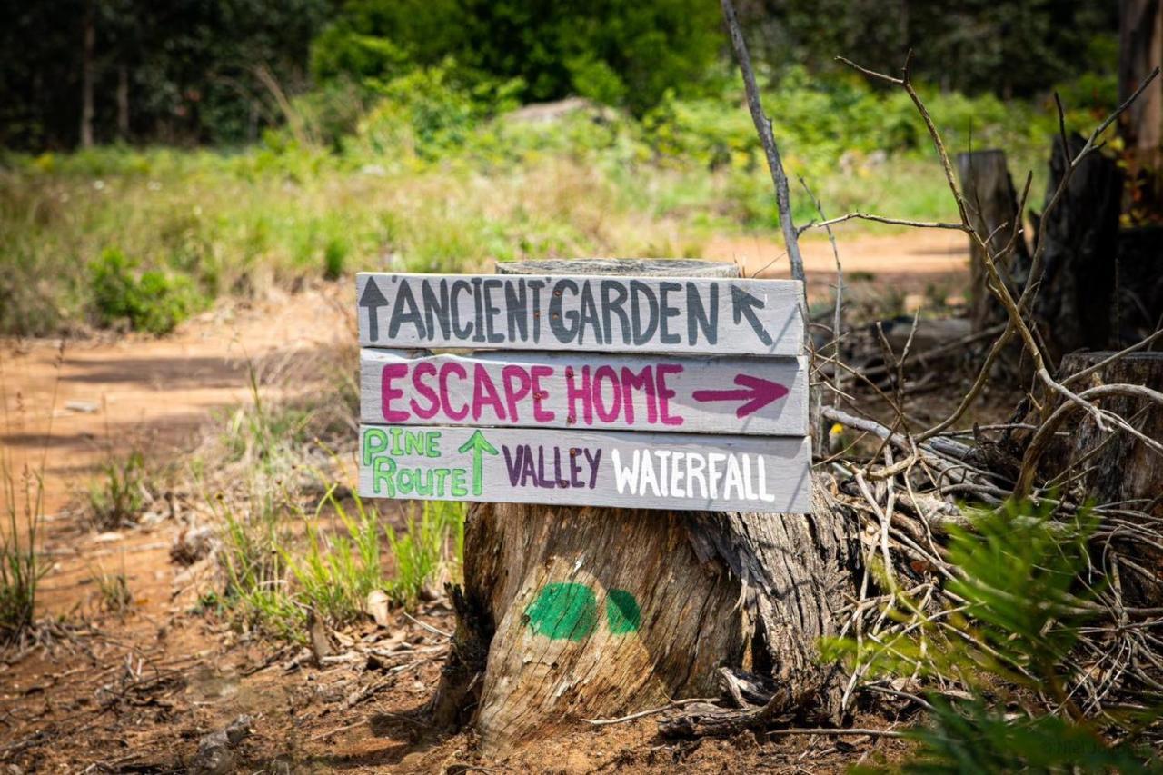 Rocks & Roses Farm Stay Lochiel Εξωτερικό φωτογραφία