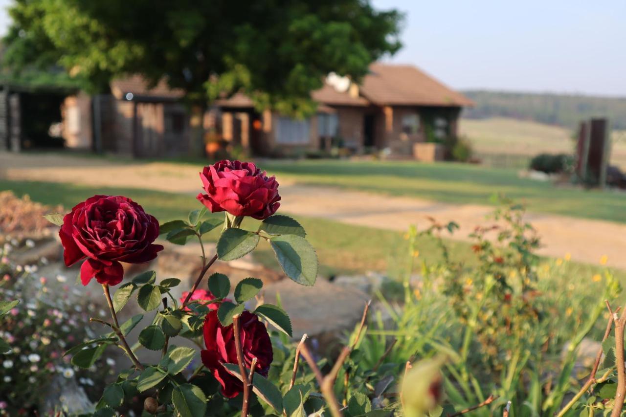 Rocks & Roses Farm Stay Lochiel Εξωτερικό φωτογραφία