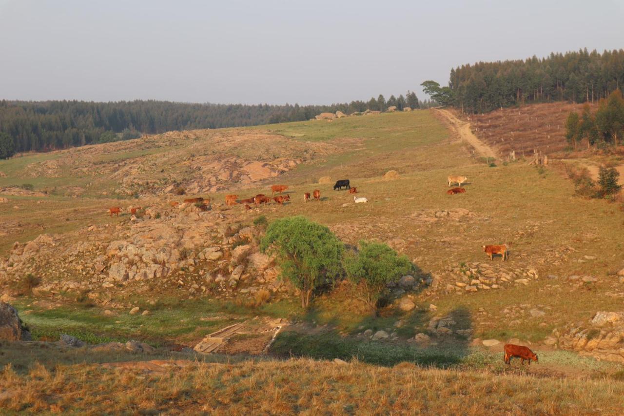 Rocks & Roses Farm Stay Lochiel Εξωτερικό φωτογραφία